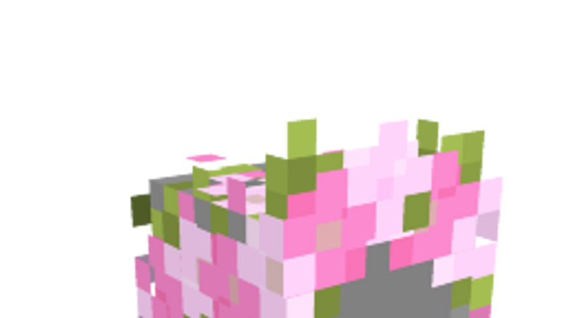 Pink Flower Crown on the Minecraft Marketplace by BTWN Creations